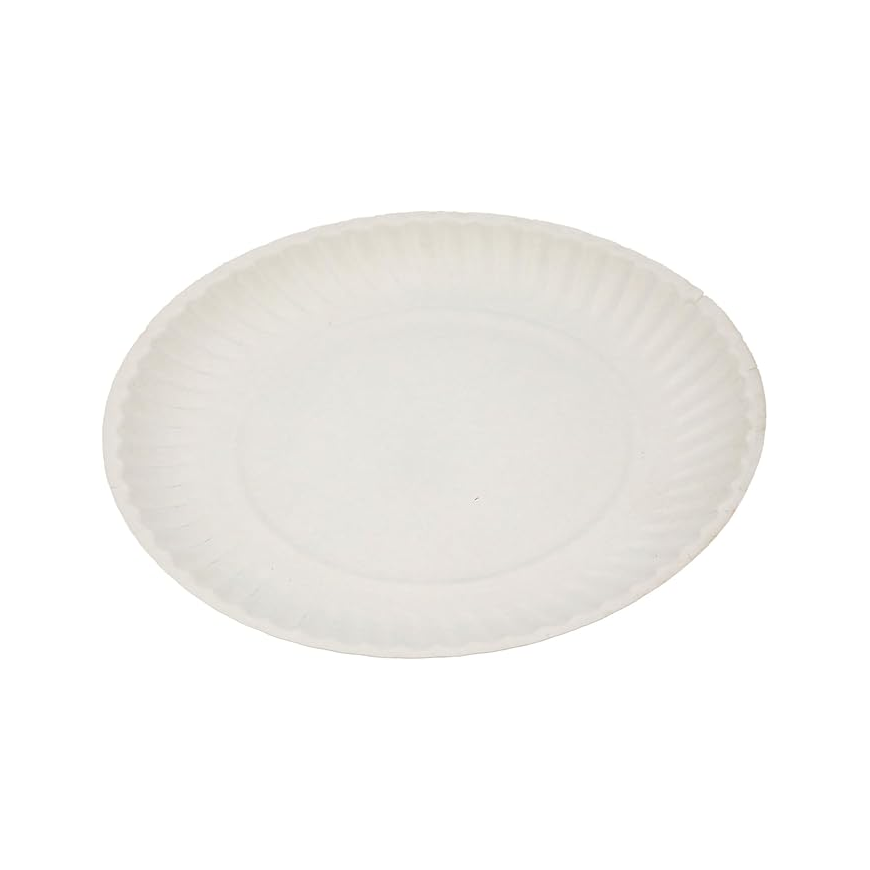 Paper Plates  Available in Packs of 100 (White, Eco-Friendly Option) (9 Inch)