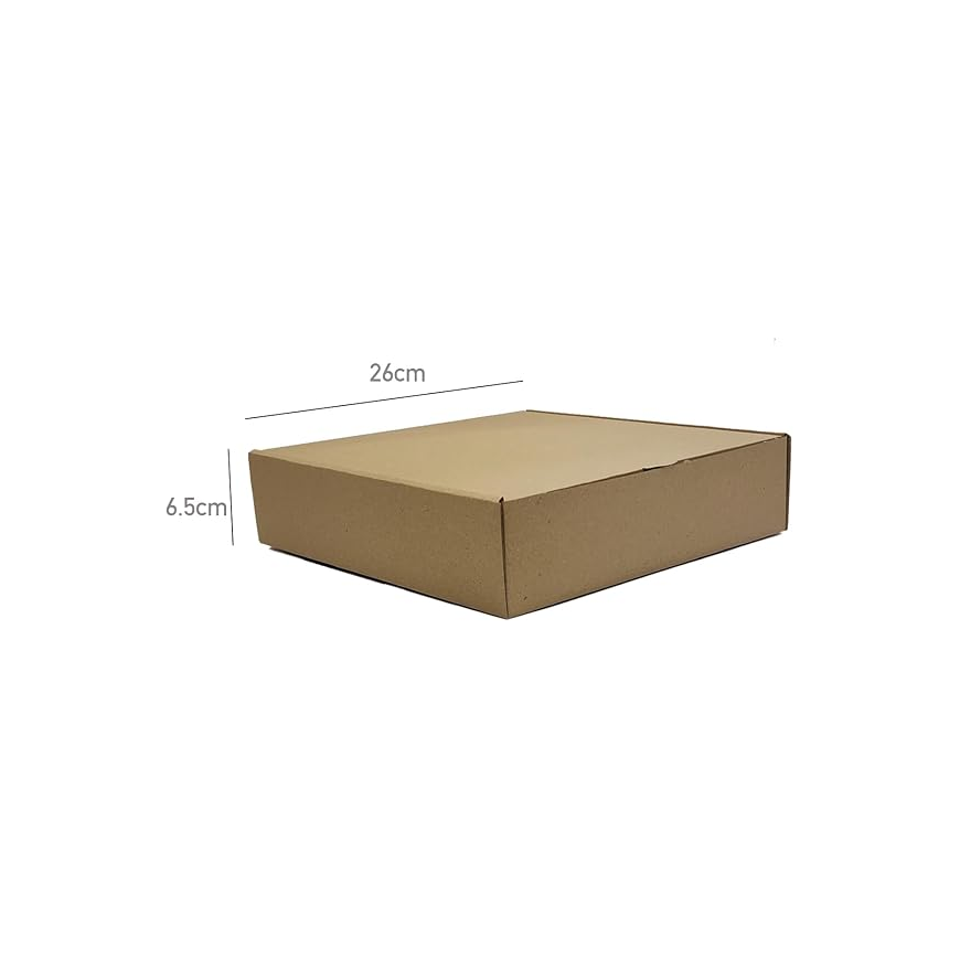 Disposable Food Boxes – 10 Pcs