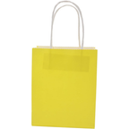Ideal Pack Kraft Gift Paper Bags( pack of 10)