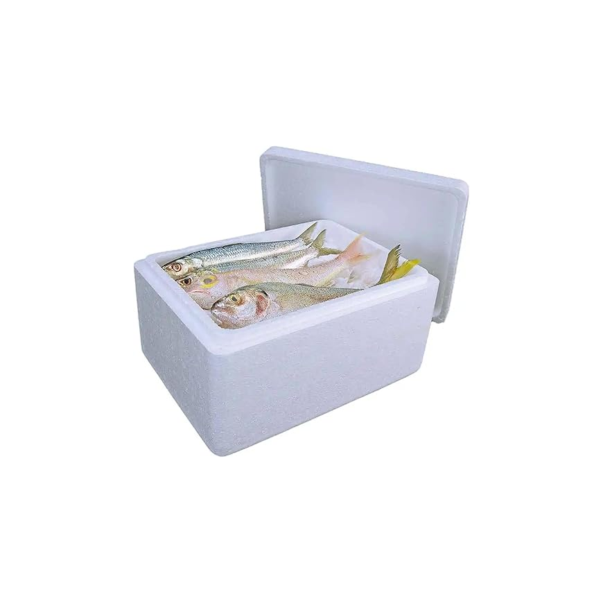 Insulated Fish Box – 48 x 31 x 16 cm