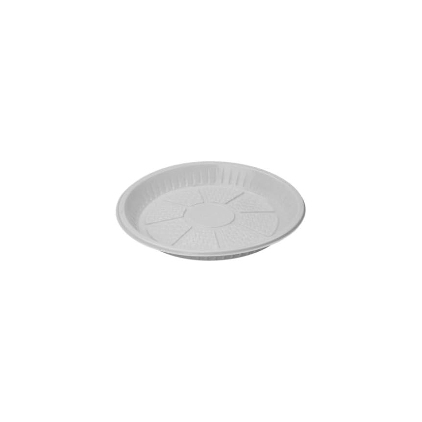 10-Inch Disposable Plastic Plates – pack of 25