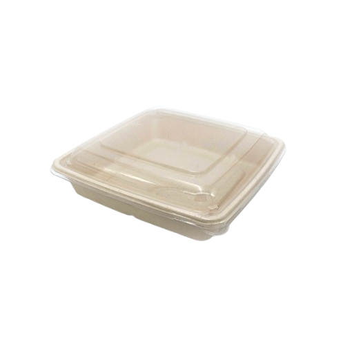 Biodegradable Large Containers with Clear Lid – 300 Pack Wholesale Main image