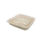 Biodegradable Large Containers with Clear Lid – 300 Pack Wholesale