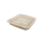Biodegradable Large Containers with Clear Lid – 300 Pack Wholesale